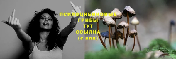 винт Абинск