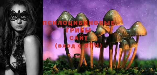 PSILOCYBIN Новодвинск