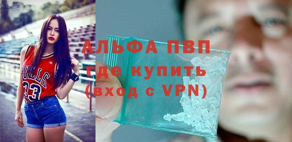 PSILOCYBIN Новодвинск